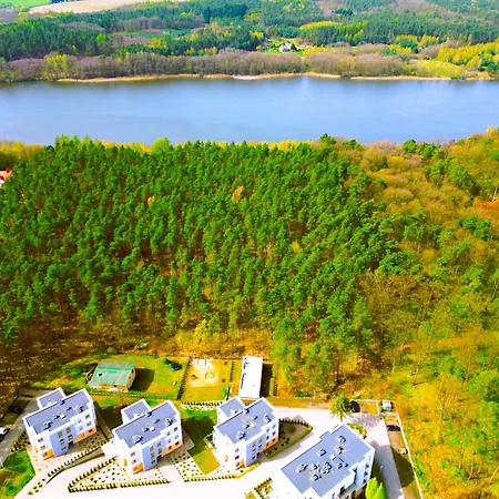 Forest Longinowka - Las, Jezioro, Parking, Netflix I Prime, Tv55