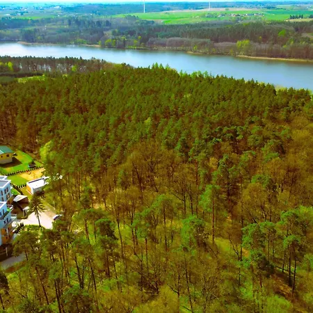 Forest Longinowka - Las, Jezioro, Parking, Netflix I Prime, Tv55