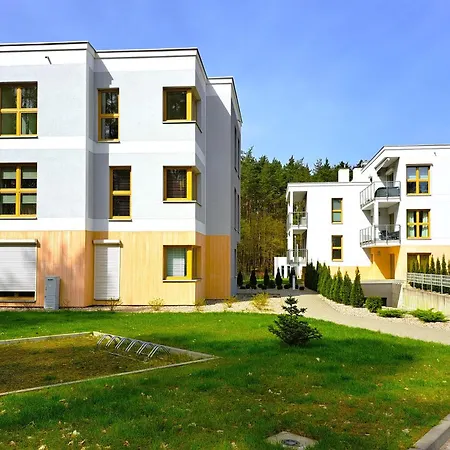 Forest Longinowka - Las, Jezioro, Parking, Netflix I Prime, Tv55