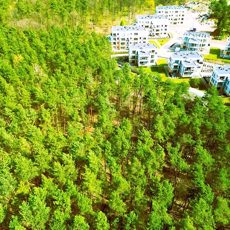 Forest Longinowka - Las, Jezioro, Parking, Netflix I Prime, Tv55