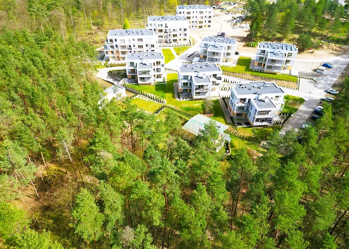 Forest Longinowka - Las, Jezioro, Parking, Netflix I Prime, Tv55\
