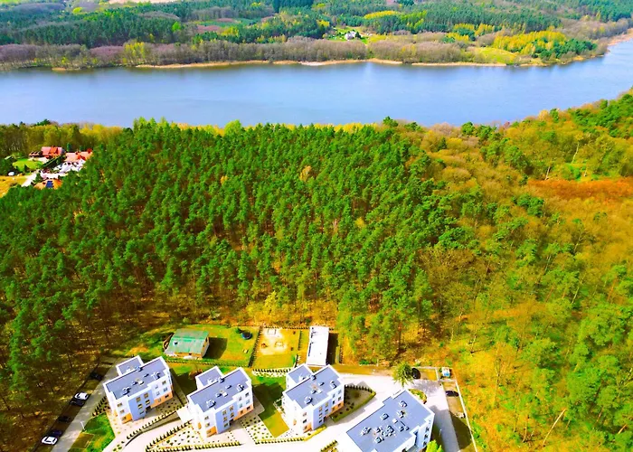 Forest Longinowka - Las, Jezioro, Parking, Netflix I Prime, Tv55\