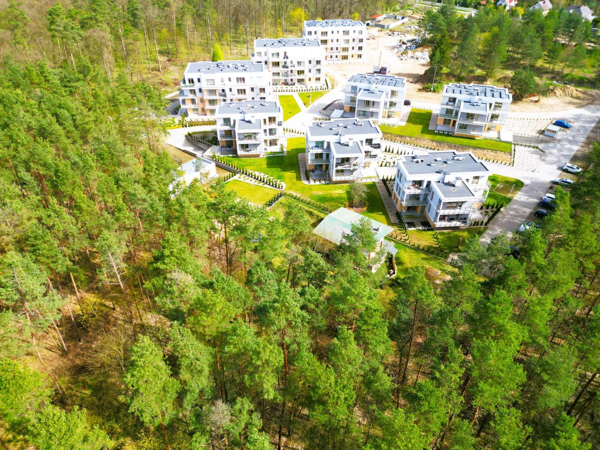 Forest Longinowka - Las, Jezioro, Parking, Netflix I Prime, Tv55
