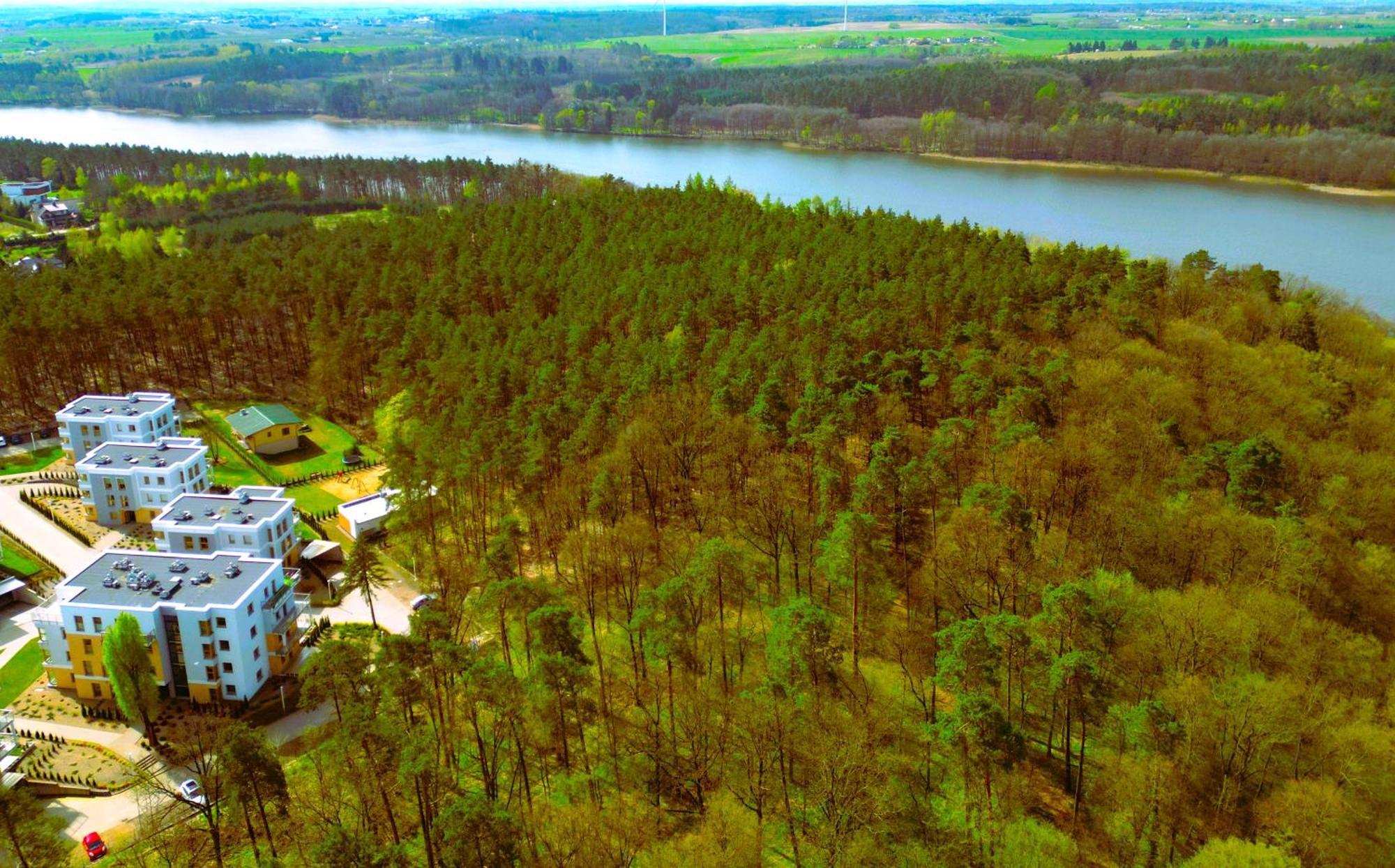 Forest Longinowka - Las, Jezioro, Parking, Netflix I Prime, Tv55