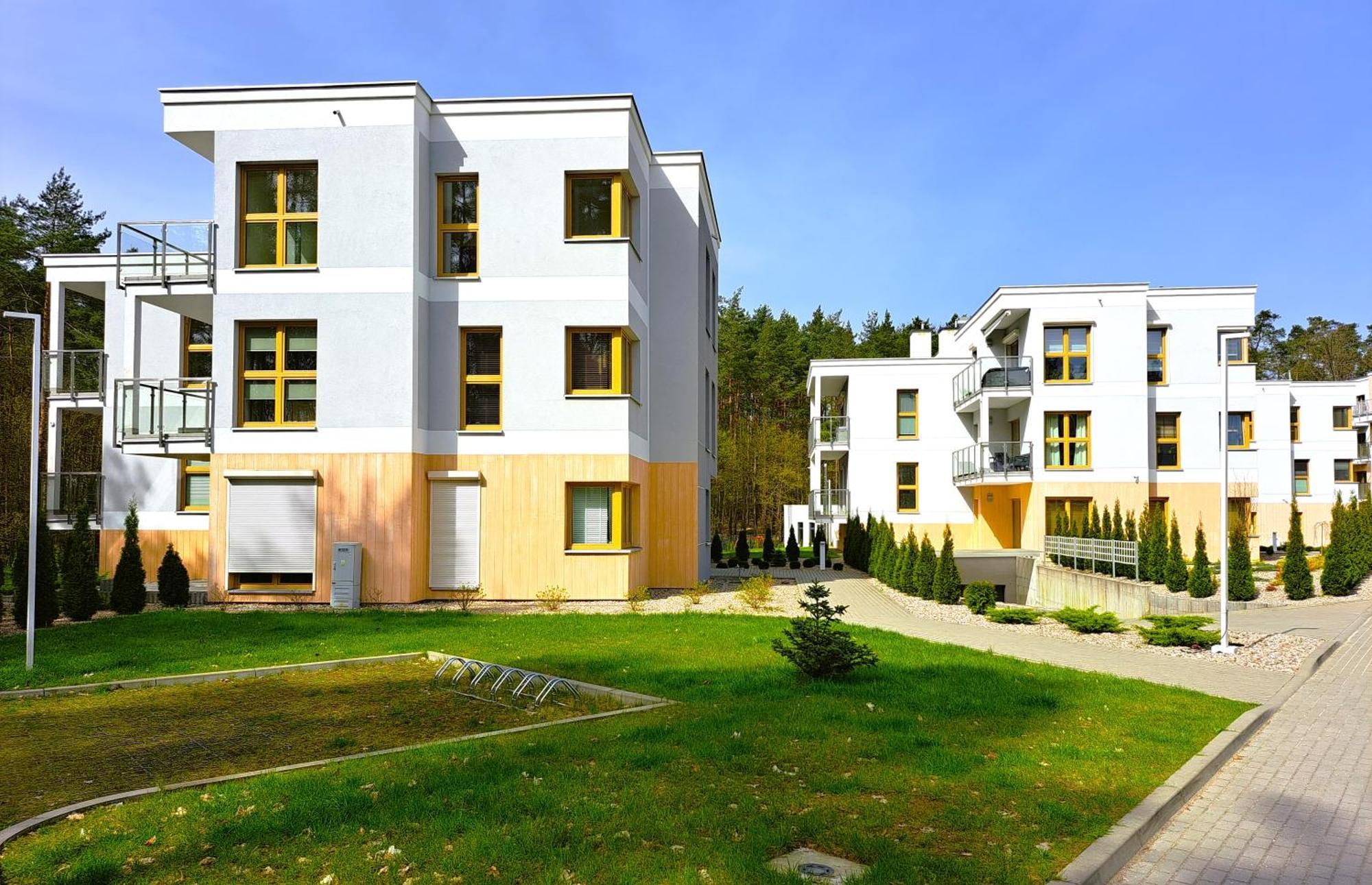 Forest Longinowka - Las, Jezioro, Parking, Netflix I Prime, Tv55