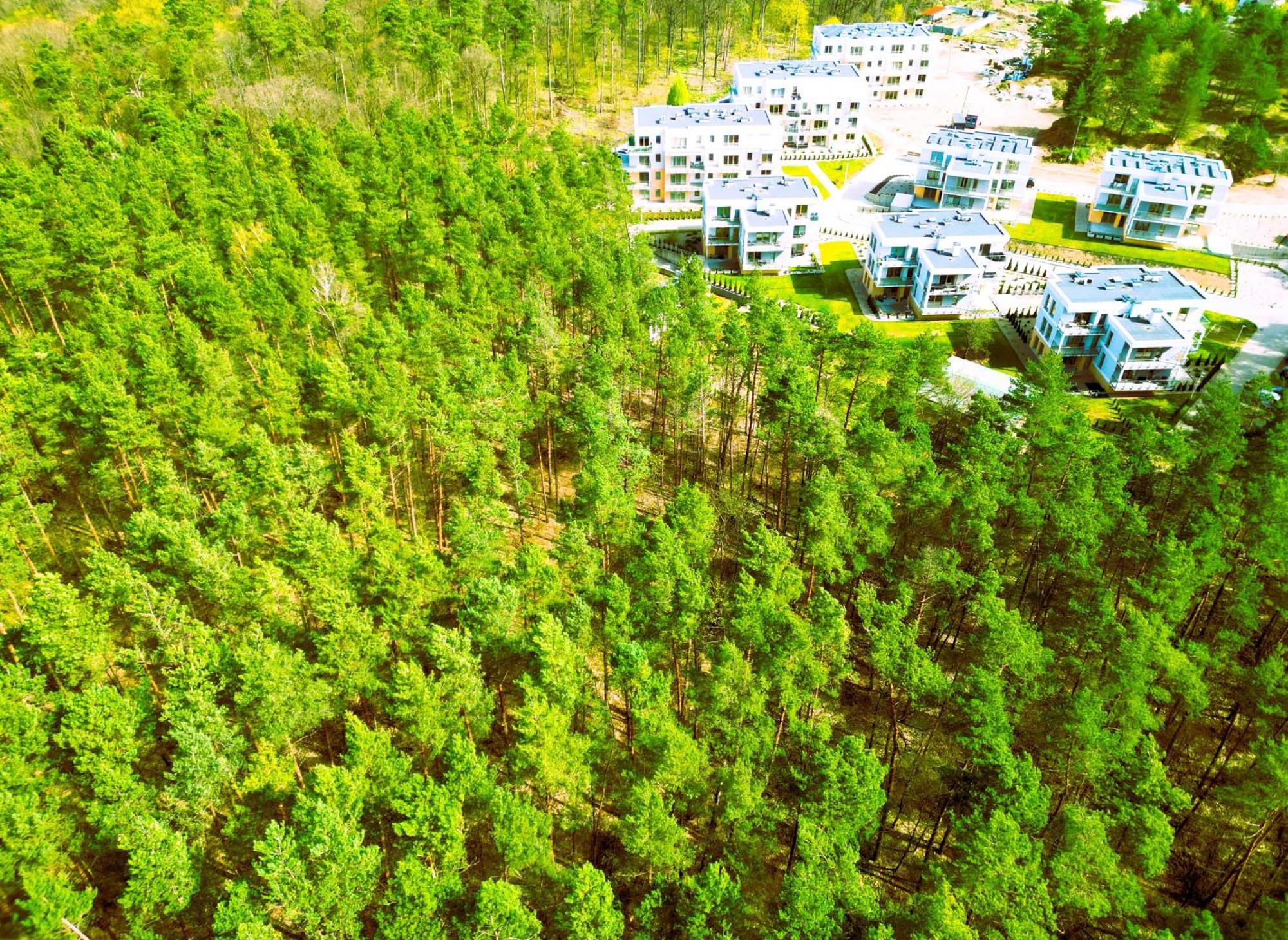 Apartment Forest Longinowka - Las, Jezioro, Parking, Netflix I Prime, Tv55